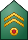 Suboficial Mayor