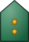 Tte. Coronel